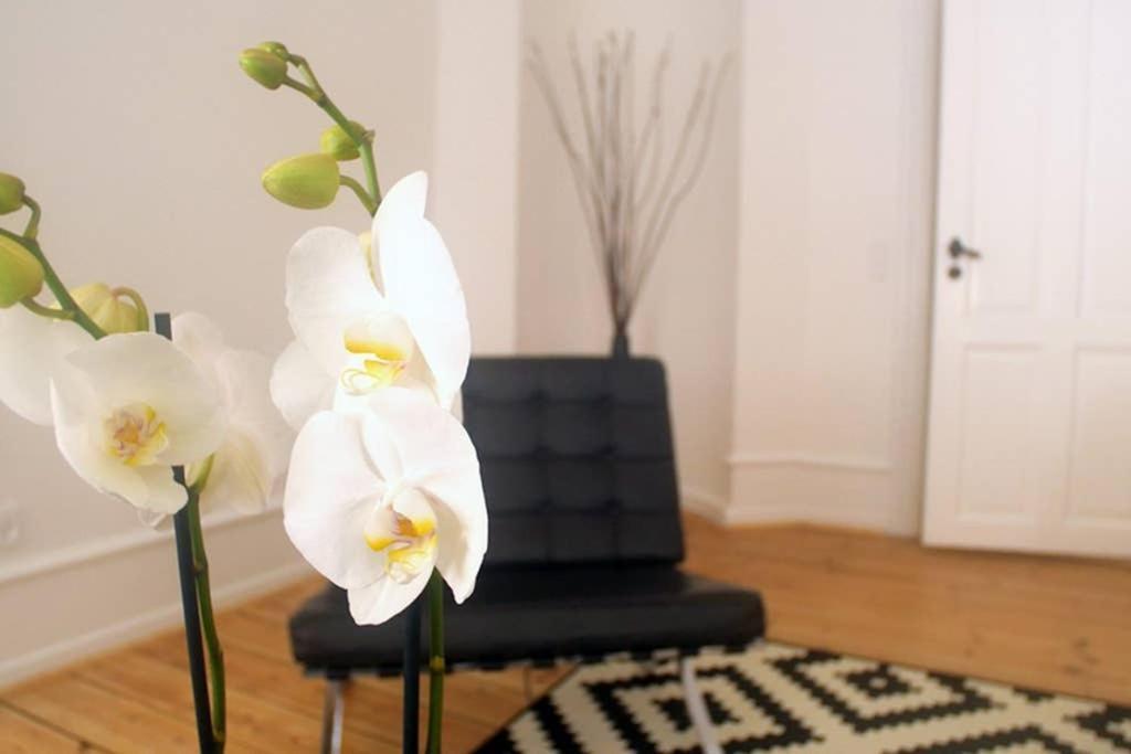 Next To New Harbor / 3 Bedroom & 2 Bath Rooms Kopenhagen Buitenkant foto
